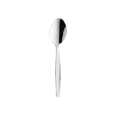 STAINLESS STEEL TEA SPOON