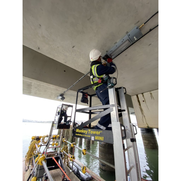 MINI MONKEY TOWER DESK SURFER