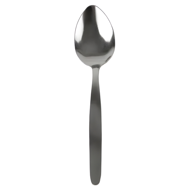 STAINLESS STEEL TABLE SPOON